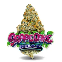 Grape Cake Head #19 - Premium Flower from  product image