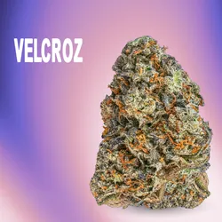 Velcroz from  product image
