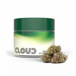 El Chivo from  product image