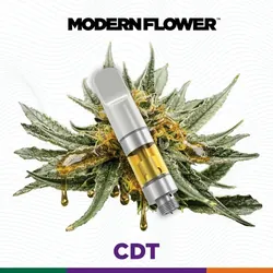 High Society -  cannabis product