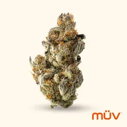 Silver Project from  product image