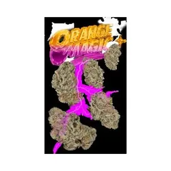 Orange Magic 7g Juniors from  product image