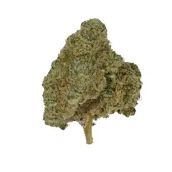 Sarasota Sour from  product image
