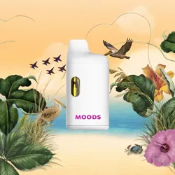 Gulf Coast Sunset AIO from  product image