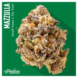 Flower - Mazzulla from  product image