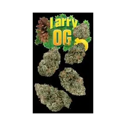 Larry OG 7g Juniors from  product image