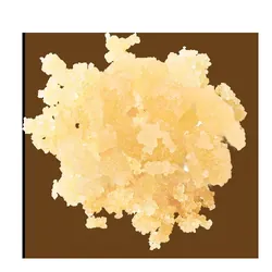 Supply Sgr Wax 1g - SBSE (S) from  product image