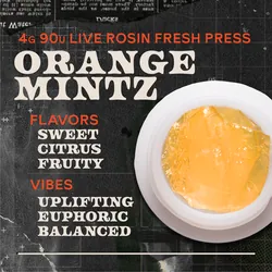 Orange Mintz Jam 4g Live Rosin Concentrate from  product image
