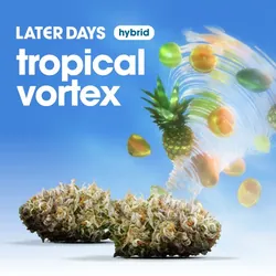 Tropical Vortex -  cannabis product