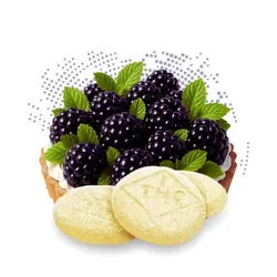 Blackberry Phyllo - Rosin C-Bite - 100mg - 10ct from  product image