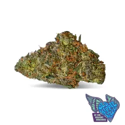 Blue Rodeo -  cannabis product
