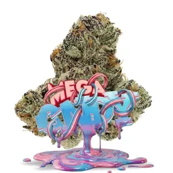 Mega Cndy - Premium from  product image