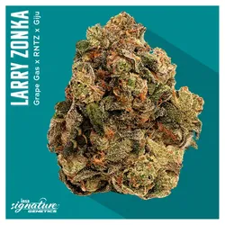Flower - Larry Zonka from  product image