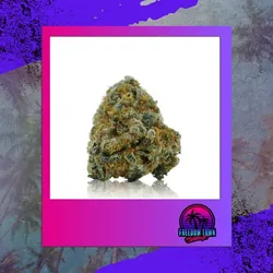 Thirst Trap from  product image