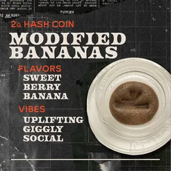 Modified Bananas - 2g Hash Coins Concentrate from  product image