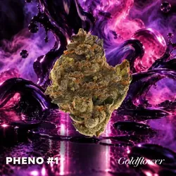 Forever FumeZ (24.5% THC) 1g from  product image