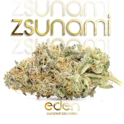 Zsunami from  product image