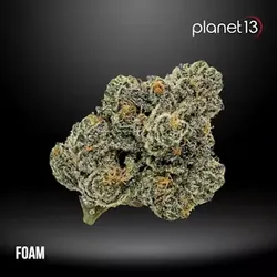Foam 7g Pouch Tier 1 from  product image
