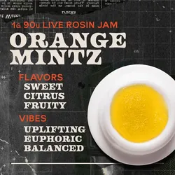 Orange Mintz Jam 1g Live Rosin Concentrate from  product image
