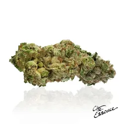 Wino #4 from  product image