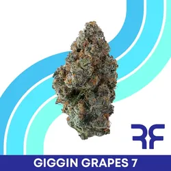 Giggin Grapes #7 from  product image