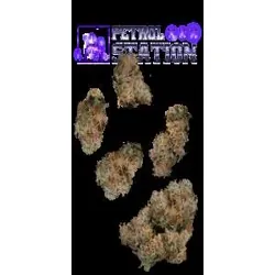 Petrol Station 7g Juniors from  product image