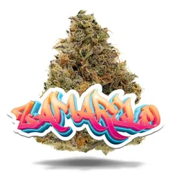Zamarelo - Premium Flower from  product image