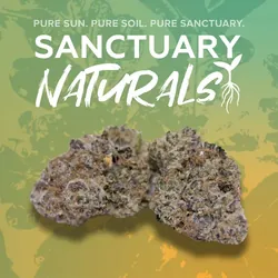 Terpee Burger Naturals - 3.5g from  product image