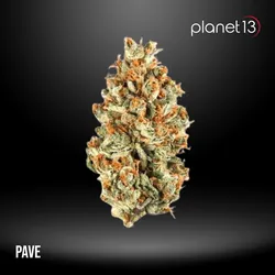 Pave 3.5g Pouch Tier 2 from  product image