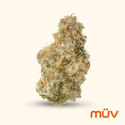 GMO Jungle Cake from  product image