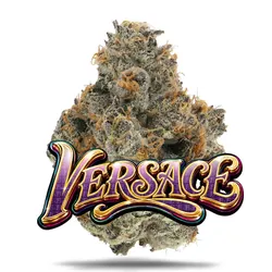 Versace - Premium from  product image
