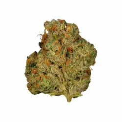 Funky Guava Flower from  product image