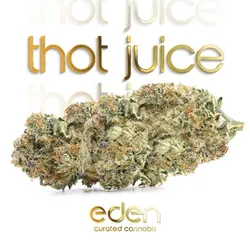 Thot Juice from  product image