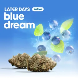 Blue Dream Flower from  product image
