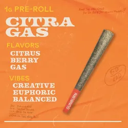 Citra Gas - 1g Pre Rolls from  product image