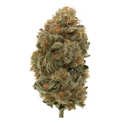 FloraCal Craft Cannabis Flower 3.5g - Waiting Game (S) from  product image