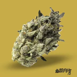 Vice City from  product image