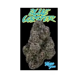 Blue Lobster Eighth (Glass Jar) from  product image