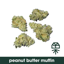 Peanut Butter Muffin -  cannabis product
