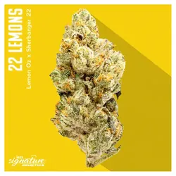 Flower - 22 Lemons from  product image