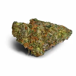 Chikitaz Diamond Infused Flower from  product image