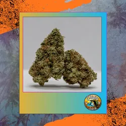 Origins Captain's Stash from  product image