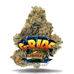 G-Ride - Premium Flower from  product image