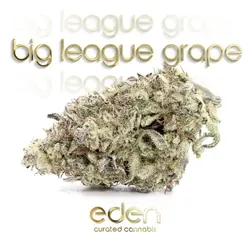 Big League Grape from  product image
