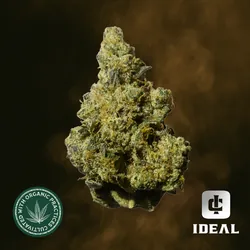 GMO from  product image