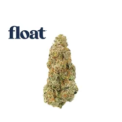 Late Night Vice - Flower - 3.5g from  product image