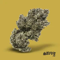 Candy Pavé from  product image