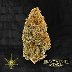 Sunshine Kush from  product image