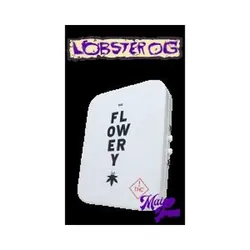 Flowery Whole Flower Preroll Pack 5x0.5g - Lobster OG from  product image