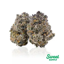 GG#4 from  product image